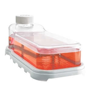 底透细胞培养瓶