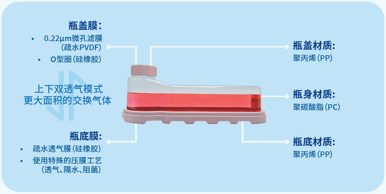 图片包含 日程表 AI 生成的内容可能不正确。